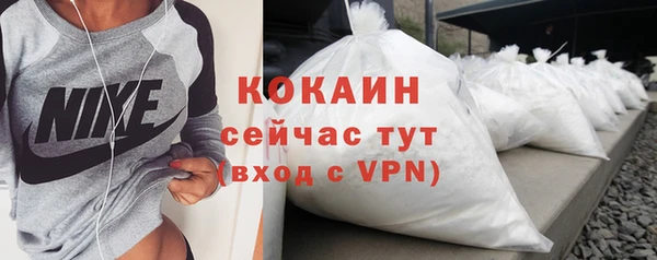 PSILOCYBIN Лабытнанги