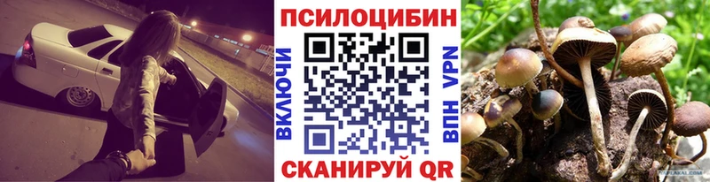 Псилоцибиновые грибы MAGIC MUSHROOMS  Купить где  Екатеринбург 